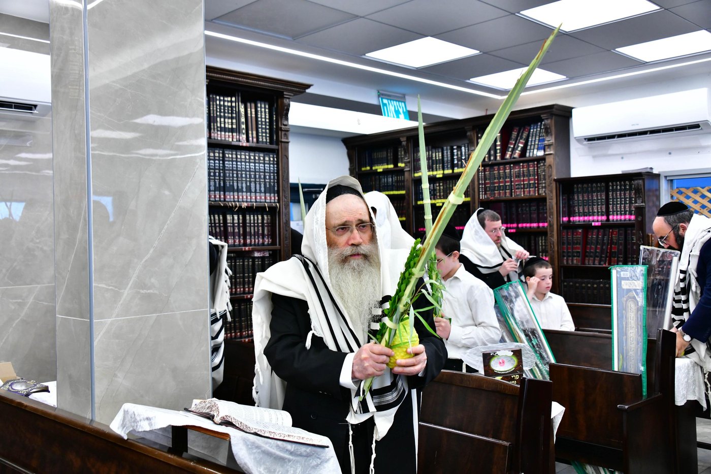 הגר"ש שטיינמן שליט"א בנטילת לולב | צילום: שוקי לרר