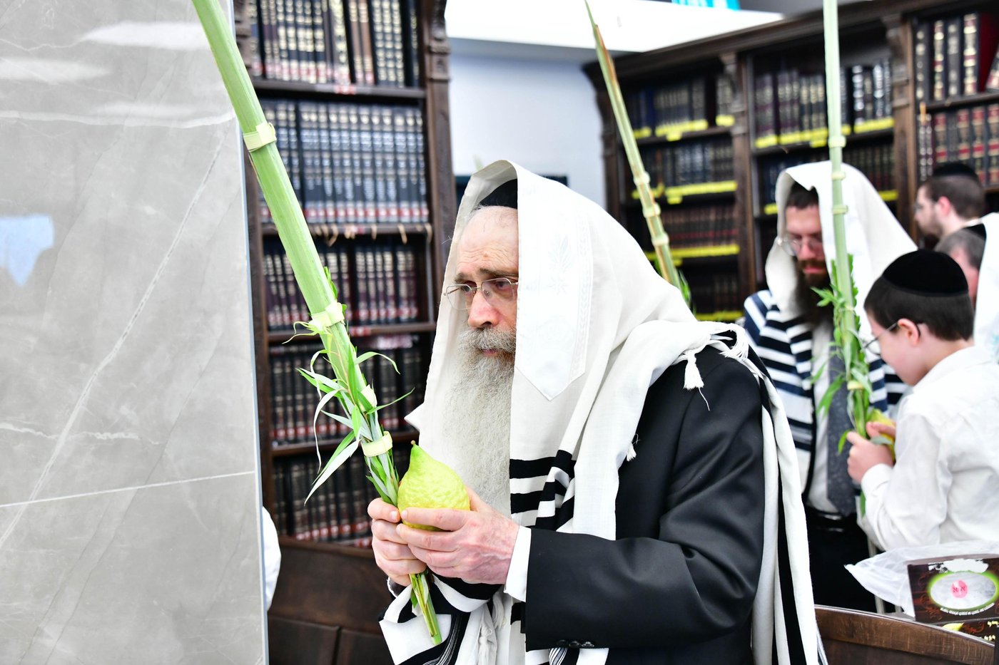 הגר"ש שטיינמן שליט"א בנטילת לולב | צילום: שוקי לרר