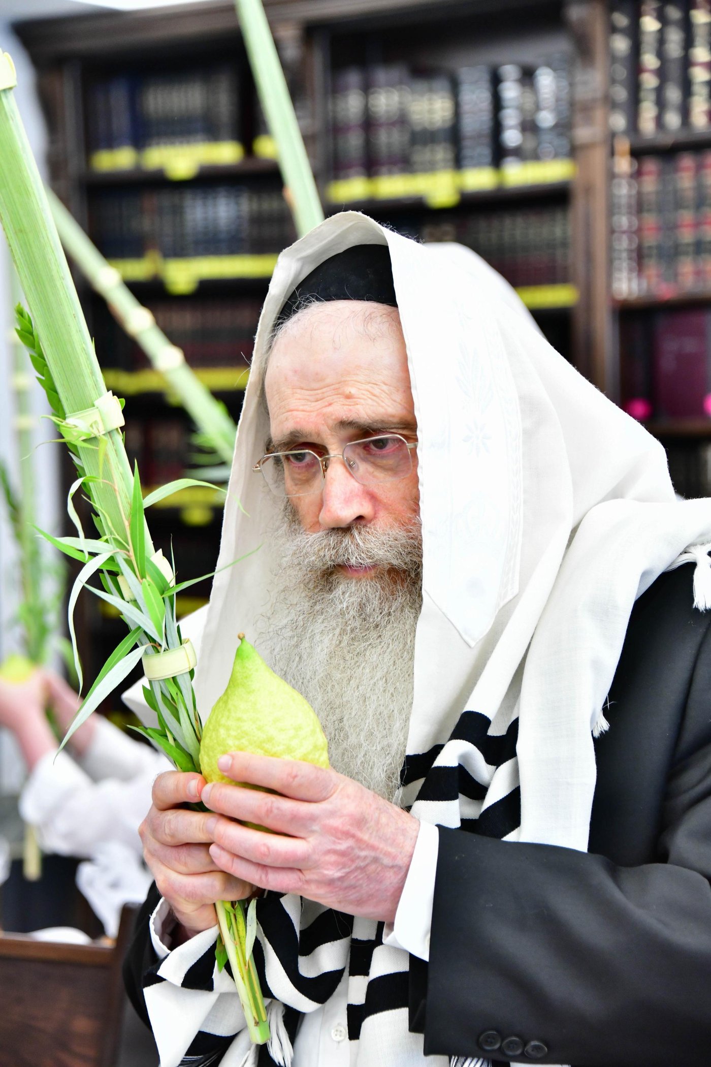 הגר"ש שטיינמן שליט"א בנטילת לולב | צילום: שוקי לרר