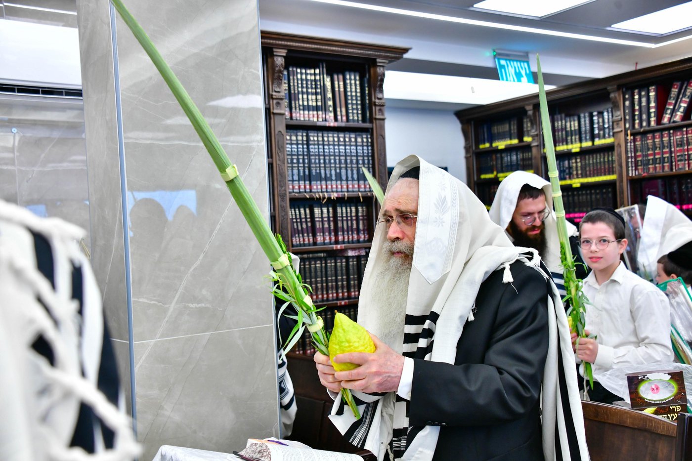 הגר"ש שטיינמן שליט"א בנטילת לולב | צילום: שוקי לרר