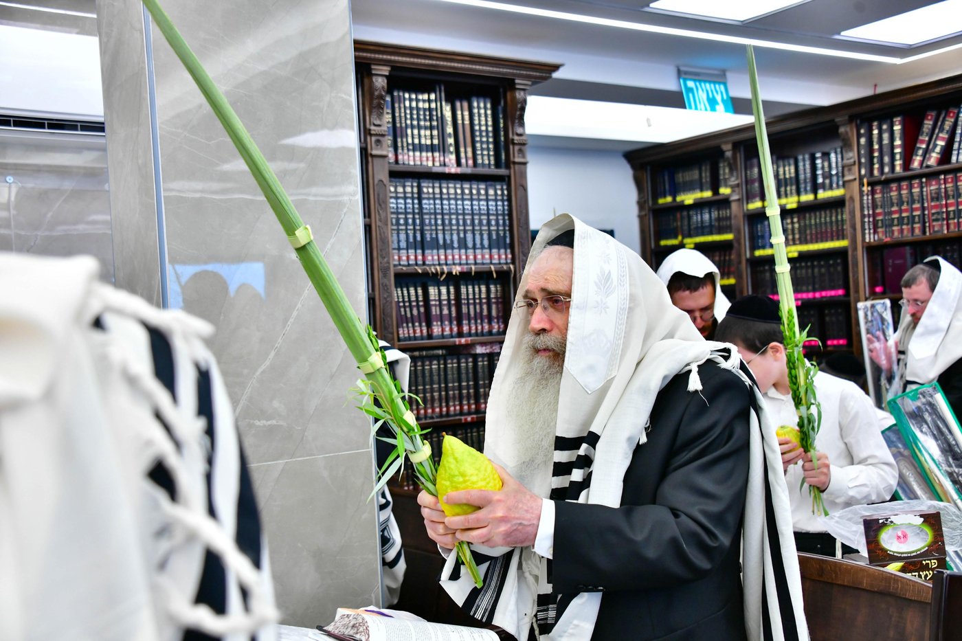 הגר"ש שטיינמן שליט"א בנטילת לולב | צילום: שוקי לרר