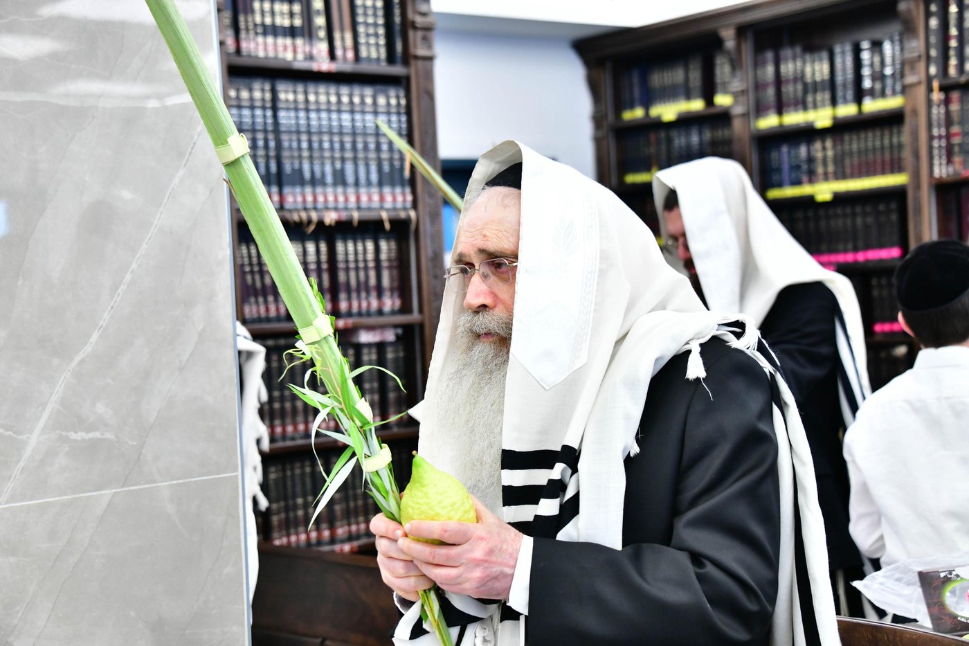 הגר"ש שטיינמן שליט"א בנטילת לולב | צילום: שוקי לרר