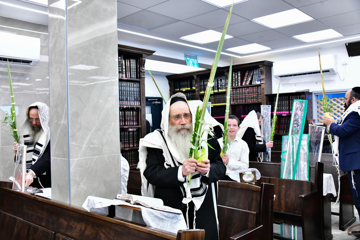 הגר"ש שטיינמן שליט"א בנטילת לולב | צילום: שוקי לרר