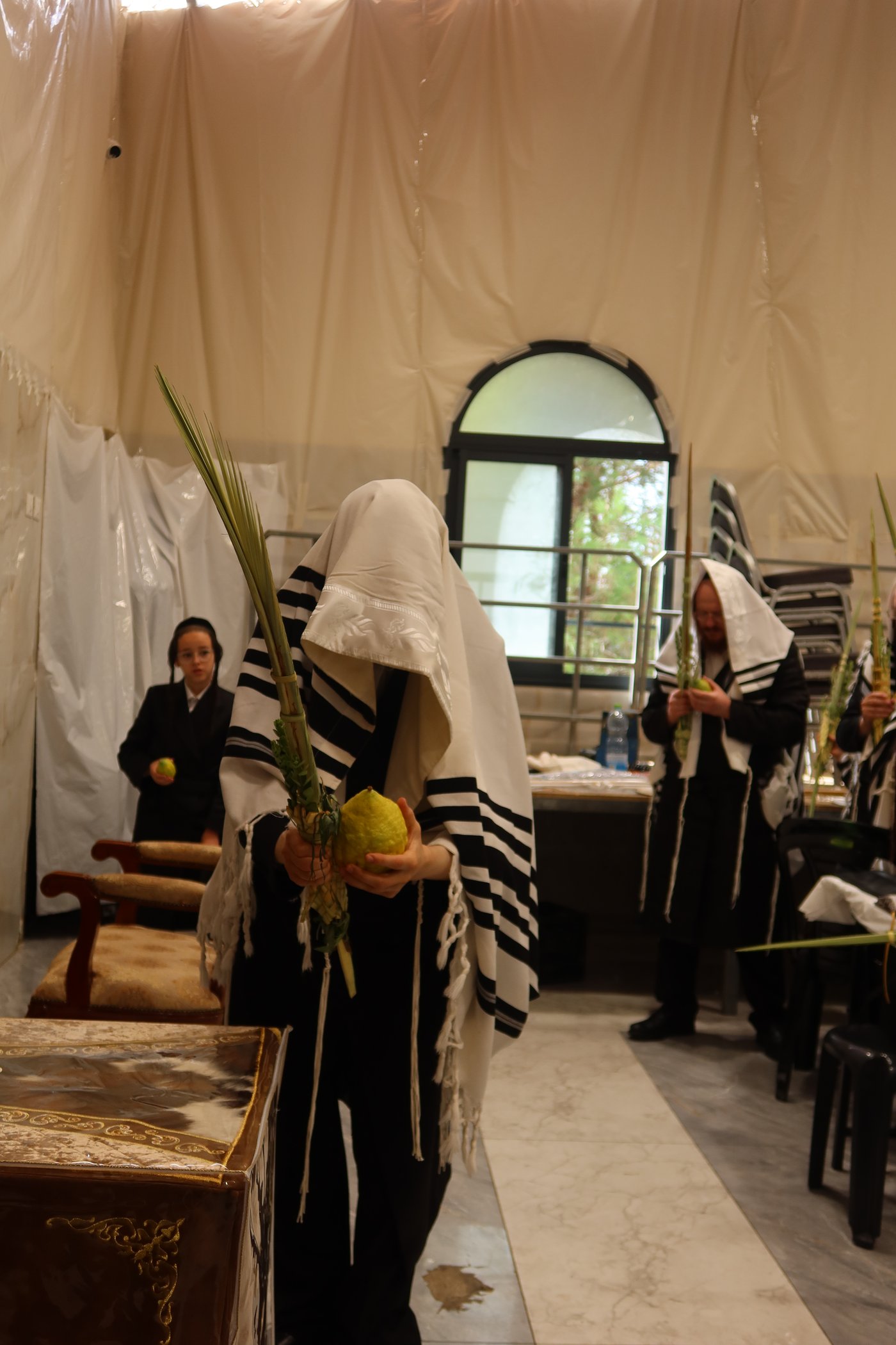 סוכות בחצר זוועהיל | צילום: שימי פ.