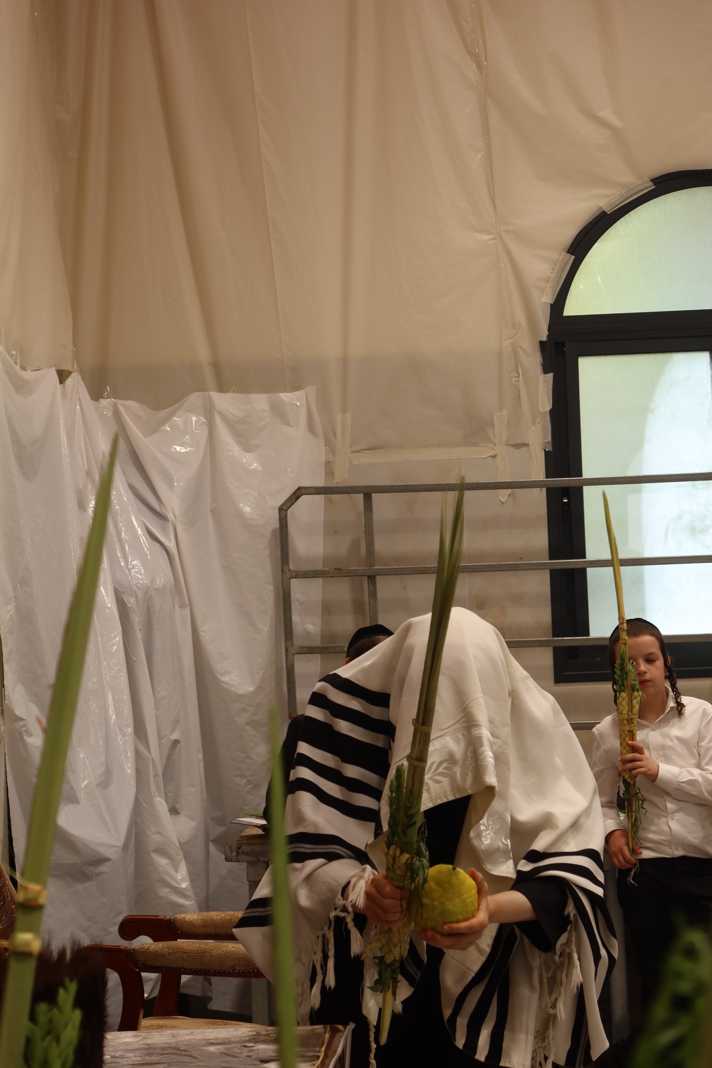 סוכות בחצר זוועהיל | צילום: שימי פ.