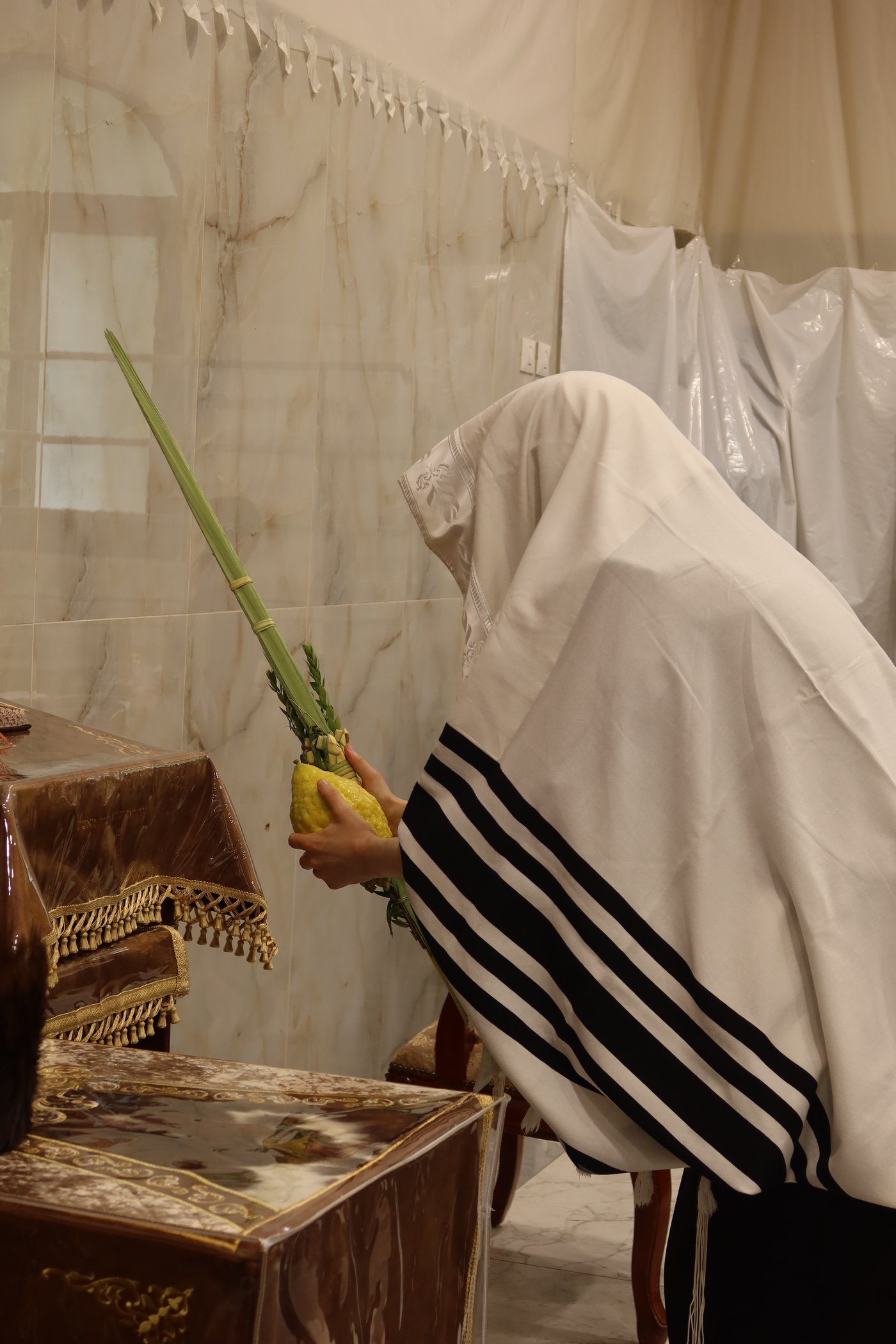 סוכות בחצר זוועהיל | צילום: שימי פ.