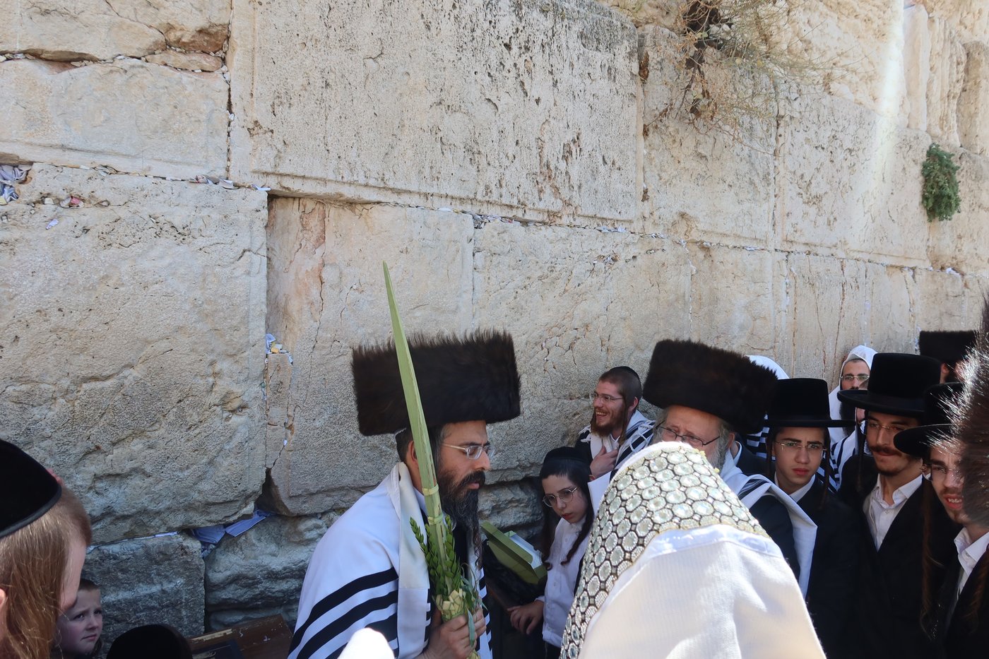 סוכות בחצר זוועהיל | צילום: שימי פ.
