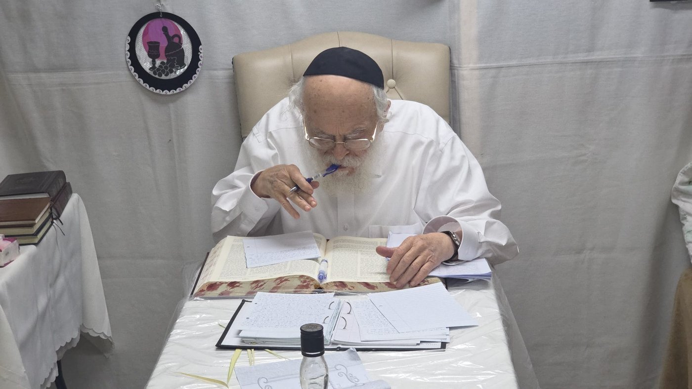 חול המועד סוכות אצל הגאון רבי בנימין דוד אלישיב שליט"א | צילום: באדיבות המצלם