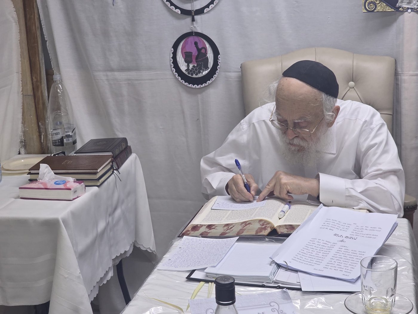חול המועד סוכות אצל הגאון רבי בנימין דוד אלישיב שליט"א | צילום: באדיבות המצלם