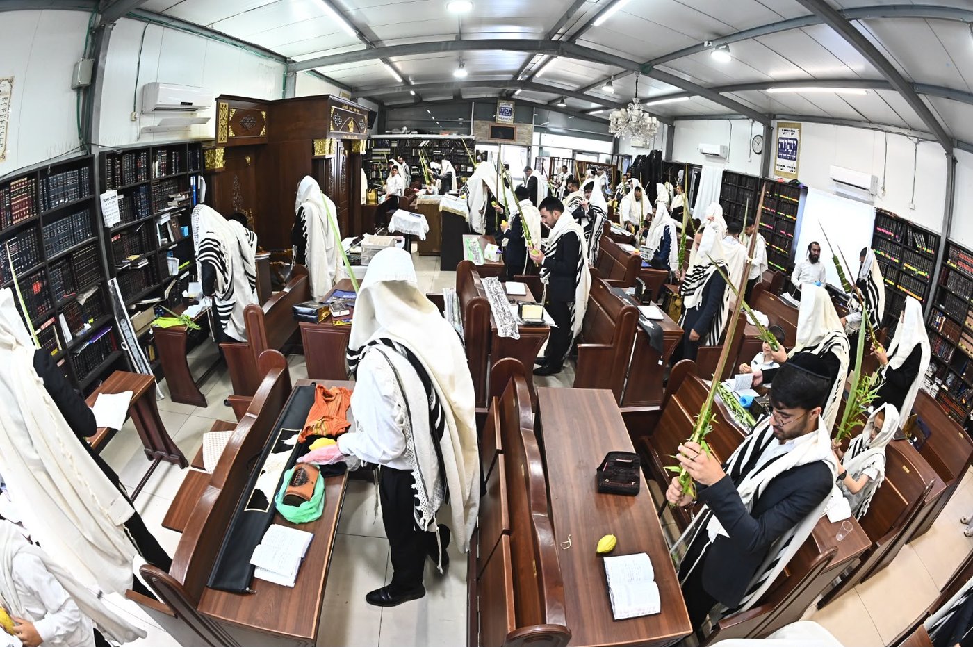הגאון הרב ליאור גלזר שליט"א בנטילת לולב
