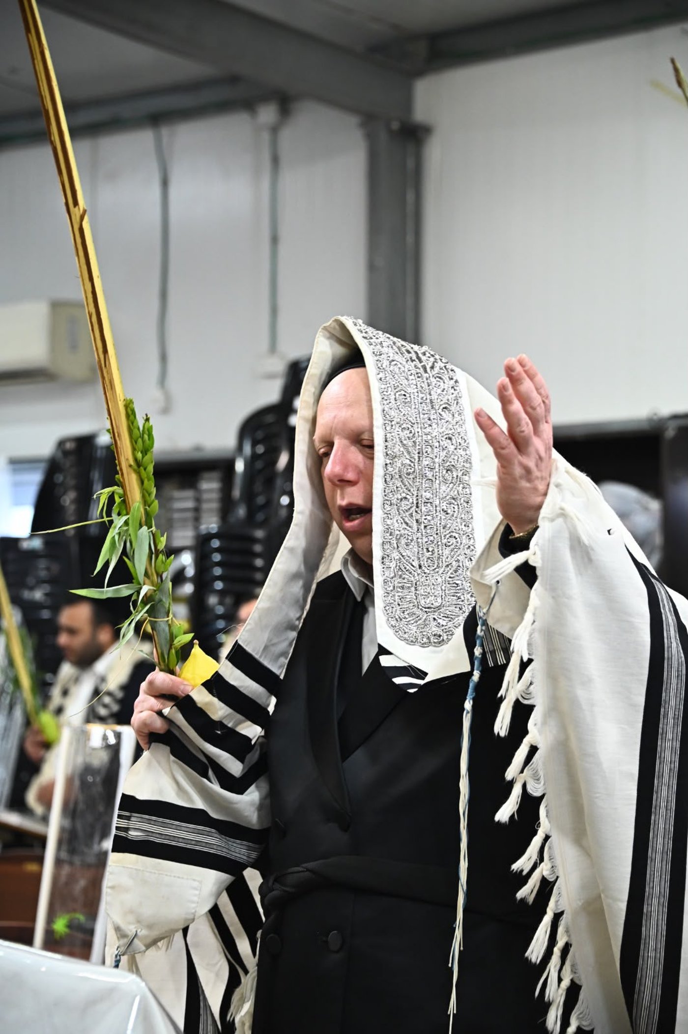 הגאון הרב ליאור גלזר שליט"א בנטילת לולב