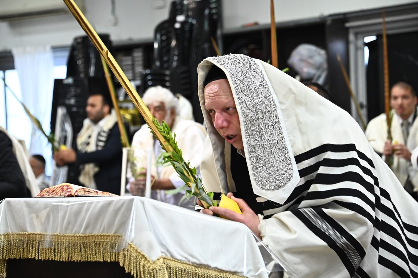הגאון הרב ליאור גלזר שליט"א בנטילת לולב