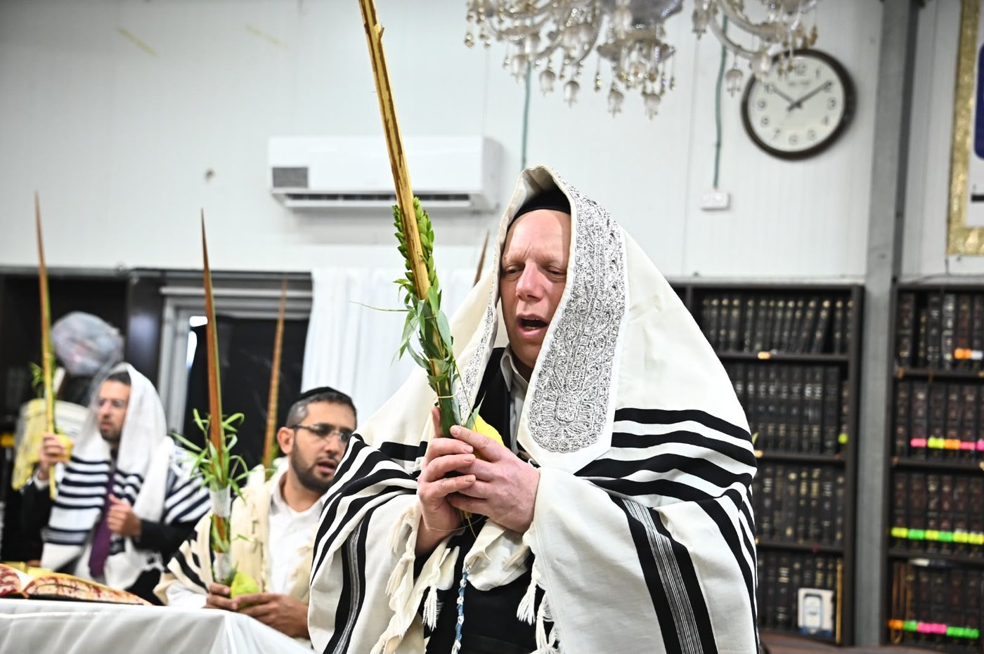 הגאון הרב ליאור גלזר שליט"א בנטילת לולב