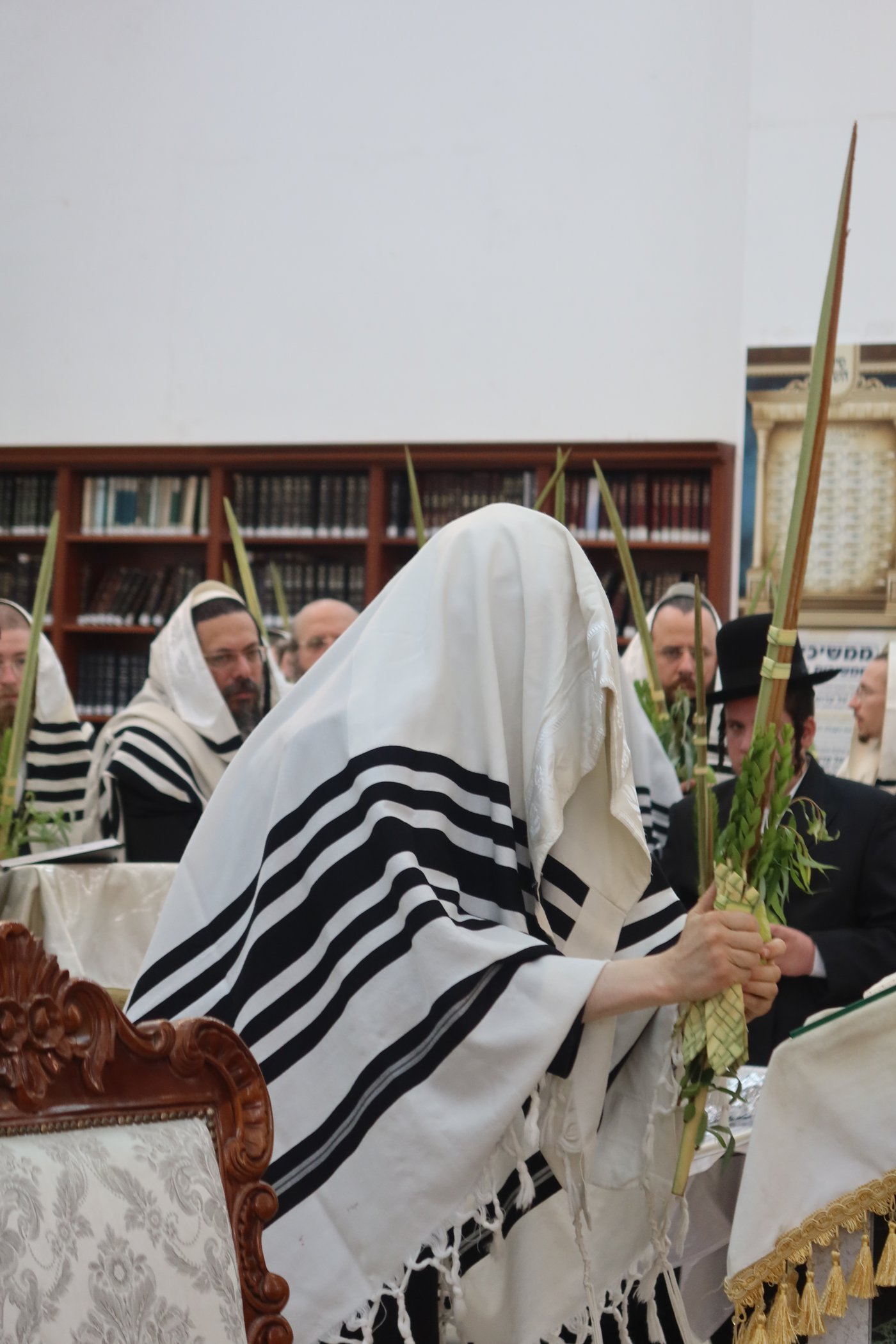 סוכות בחצר זוועהיל | צילום: שימי פ.