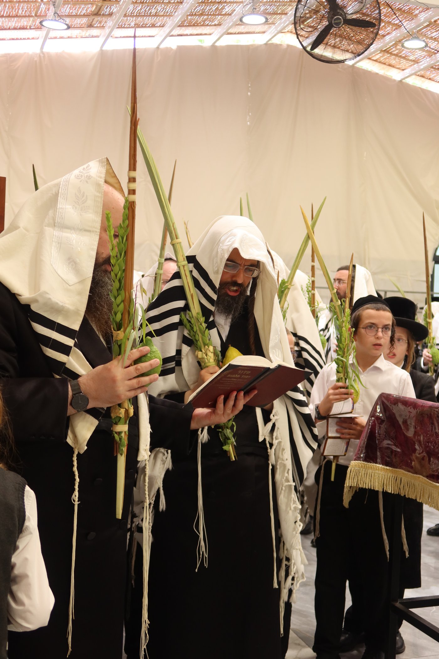 סוכות בחצר זוועהיל | צילום: שימי פ.