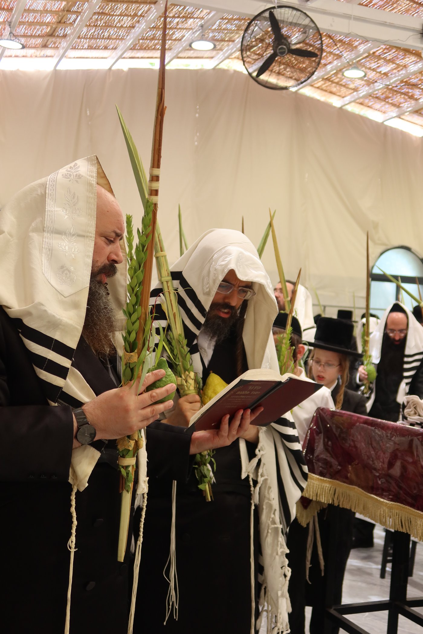 סוכות בחצר זוועהיל | צילום: שימי פ.
