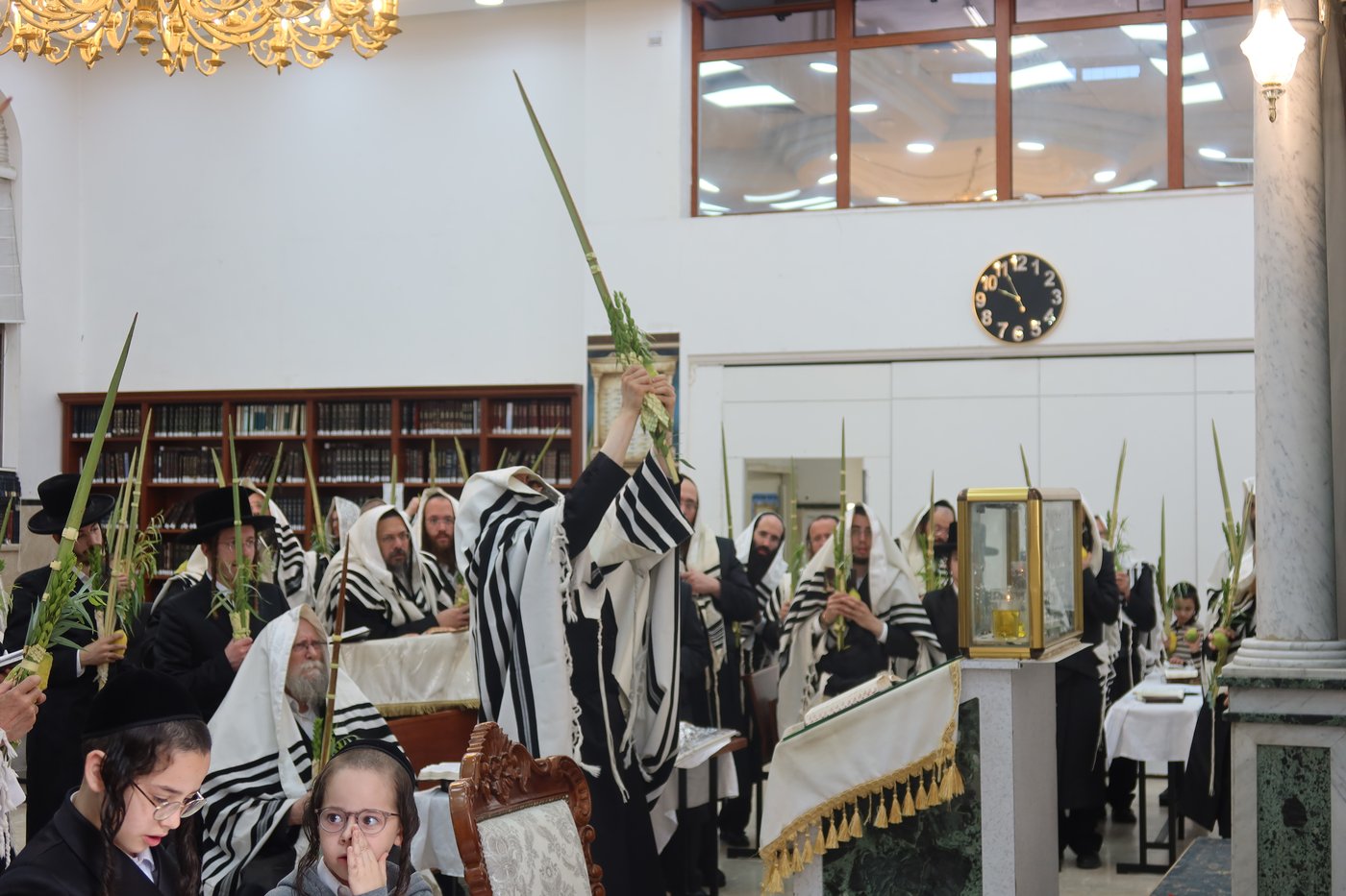 סוכות בחצר זוועהיל | צילום: שימי פ.