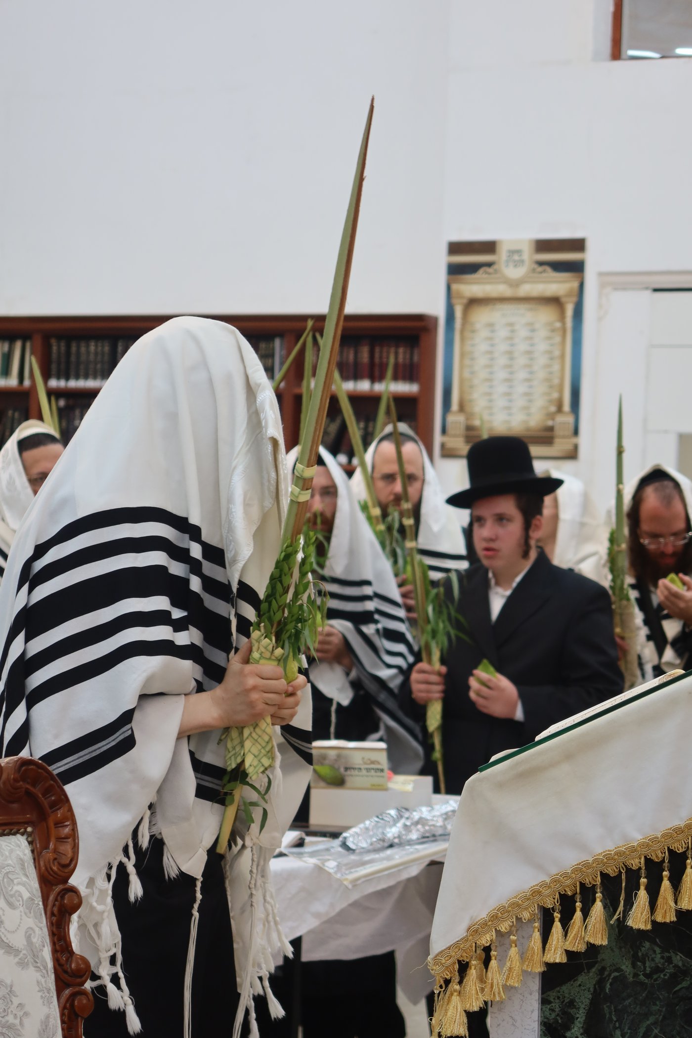 סוכות בחצר זוועהיל | צילום: שימי פ.