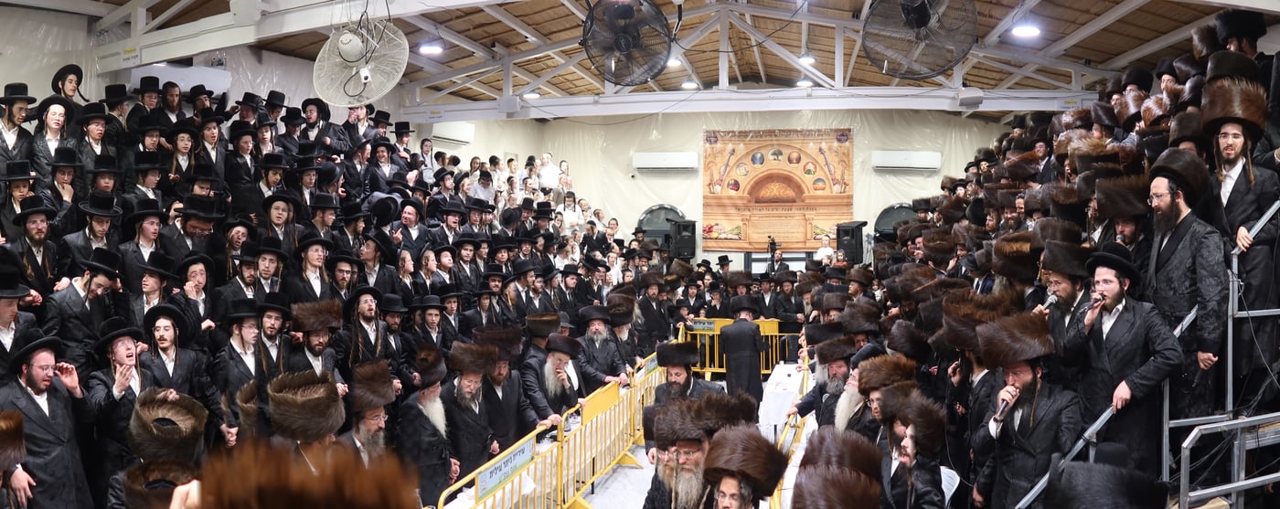 סוכות בחצר זוועהיל | צילום: שימי פ.