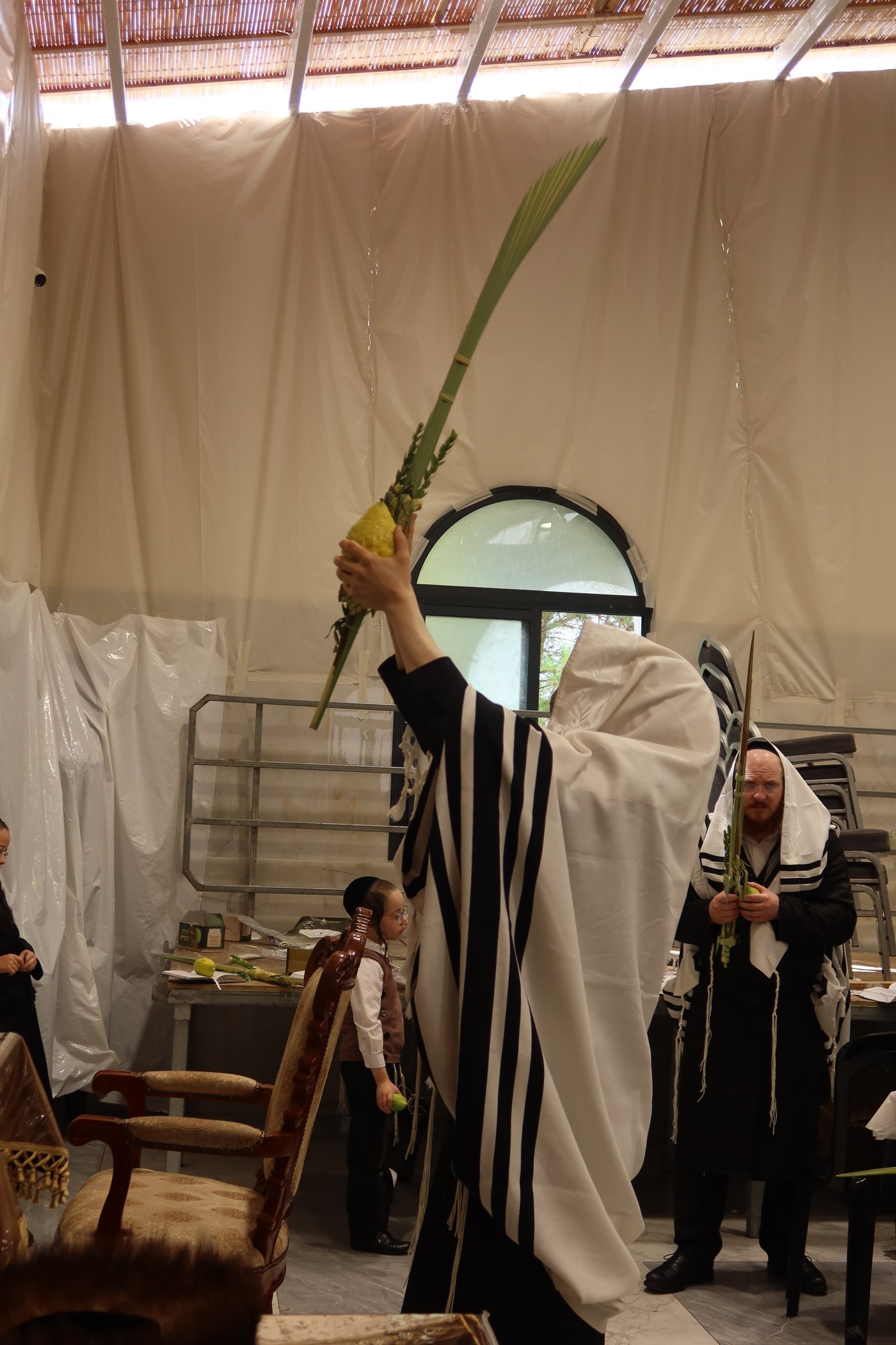 סוכות בחצר זוועהיל | צילום: שימי פ.