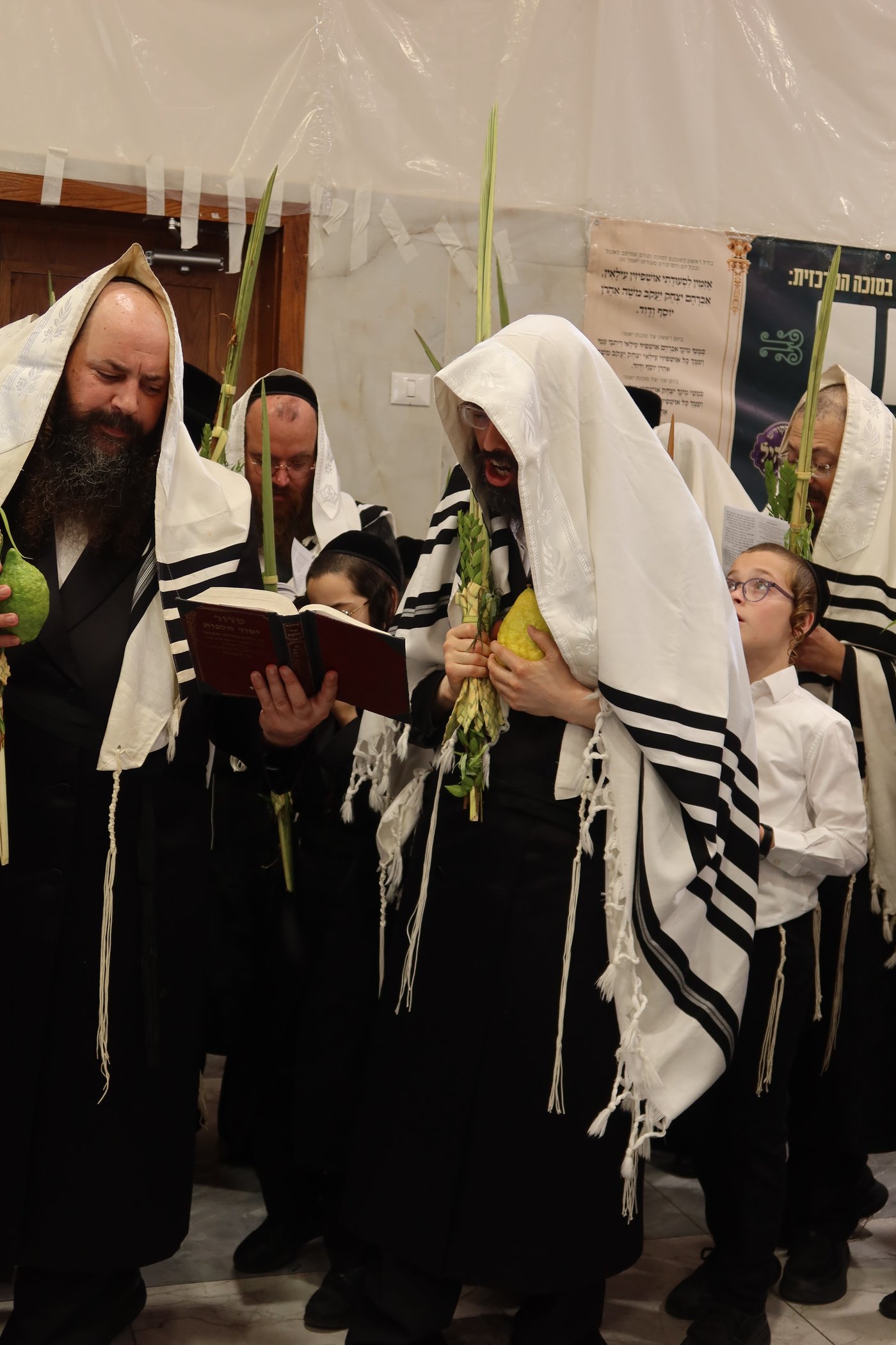 סוכות בחצר זוועהיל | צילום: שימי פ.