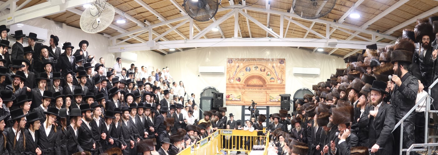 סוכות בחצר זוועהיל | צילום: שימי פ.