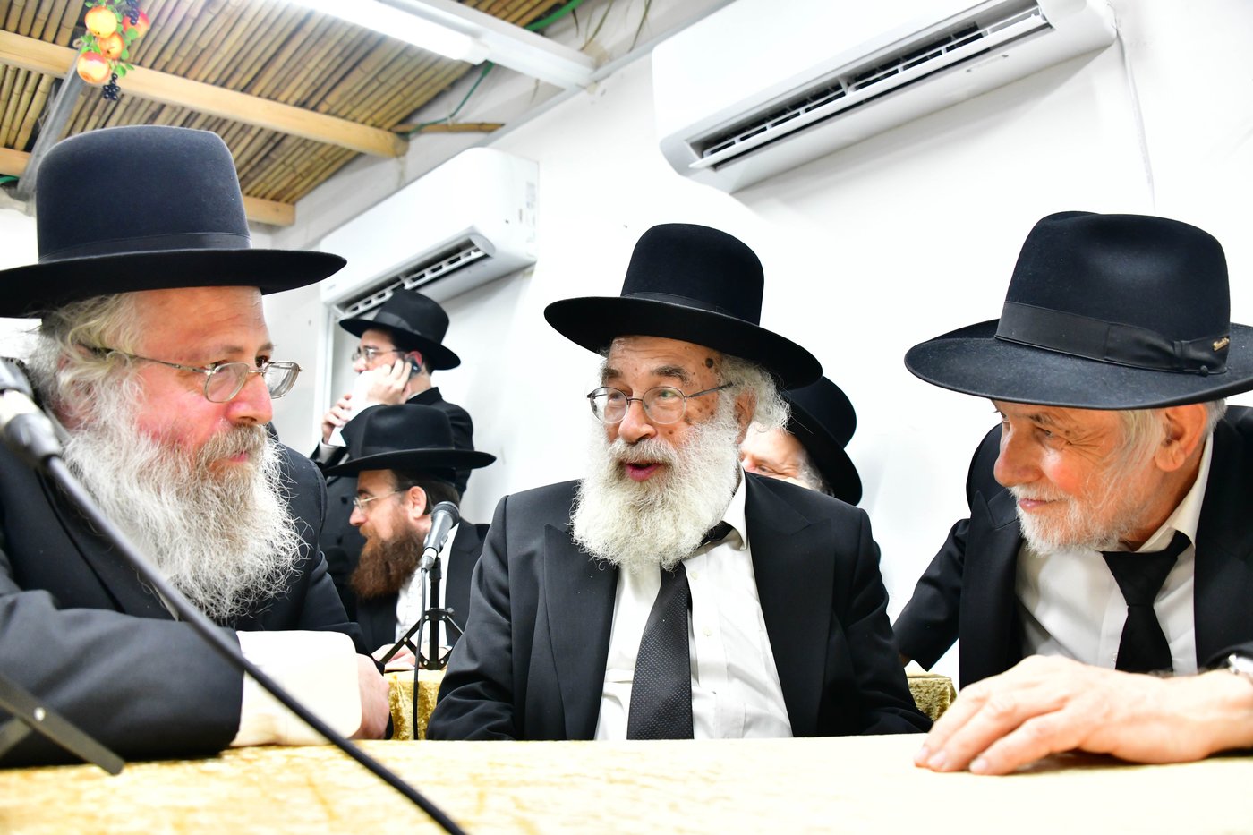 ריתחא דאורייתא בסוכתו של הגאון רבי דב לנדו שליט"א | צילום: שוקי לרר