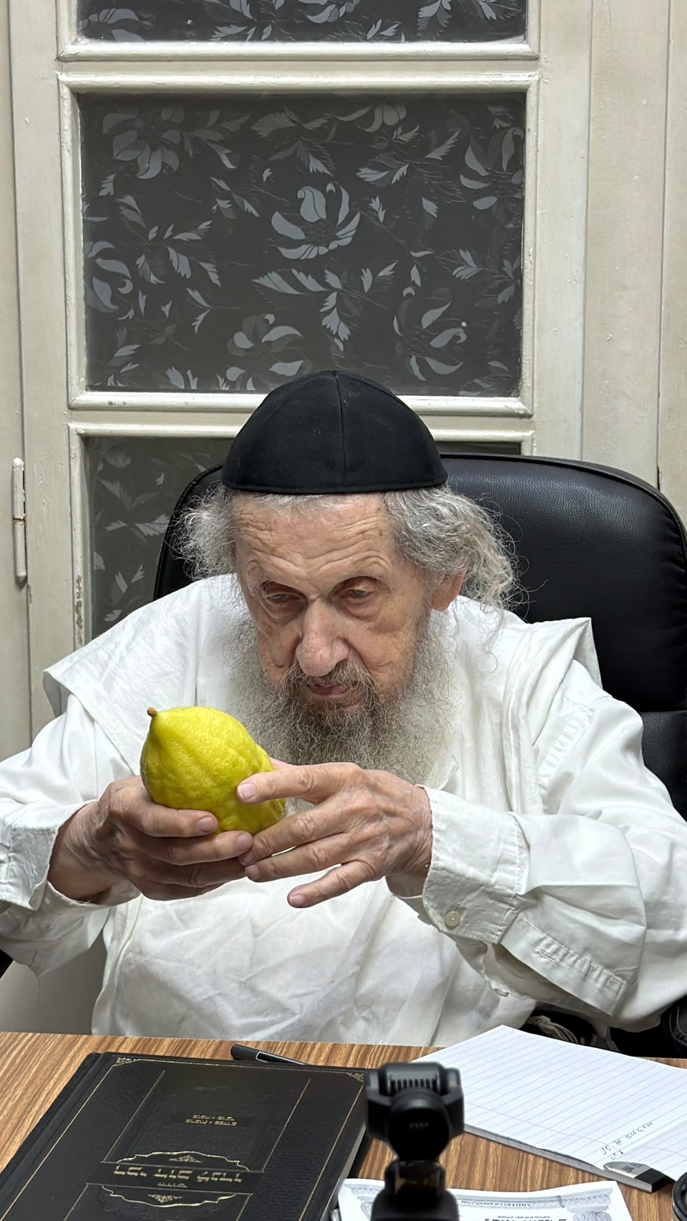 מרן ראש הישיבה הגאון רבי דב לנדו שליט"א בבדיקת אתרוגים