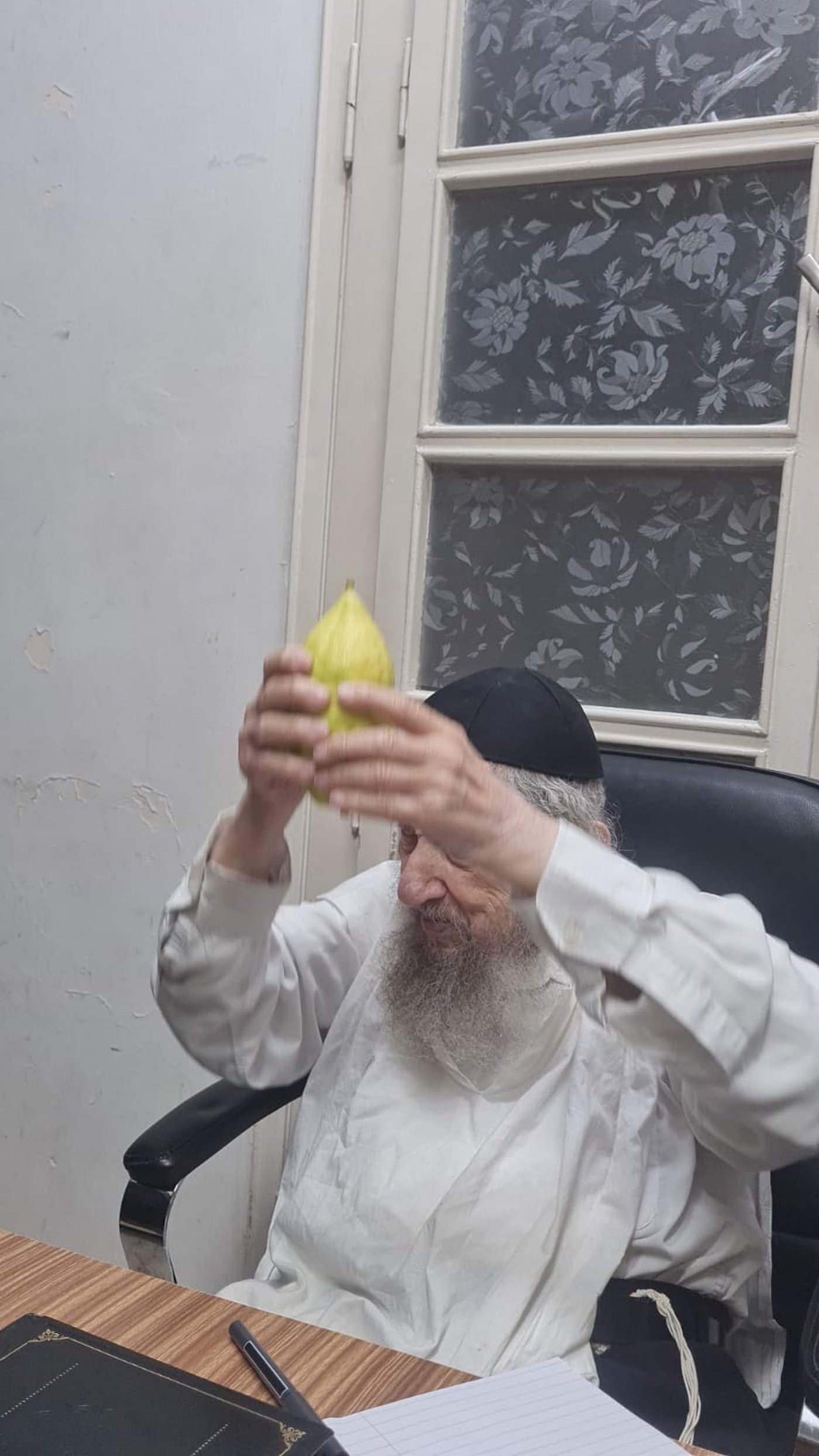מרן ראש הישיבה הגאון רבי דב לנדו שליט"א בבדיקת אתרוגים