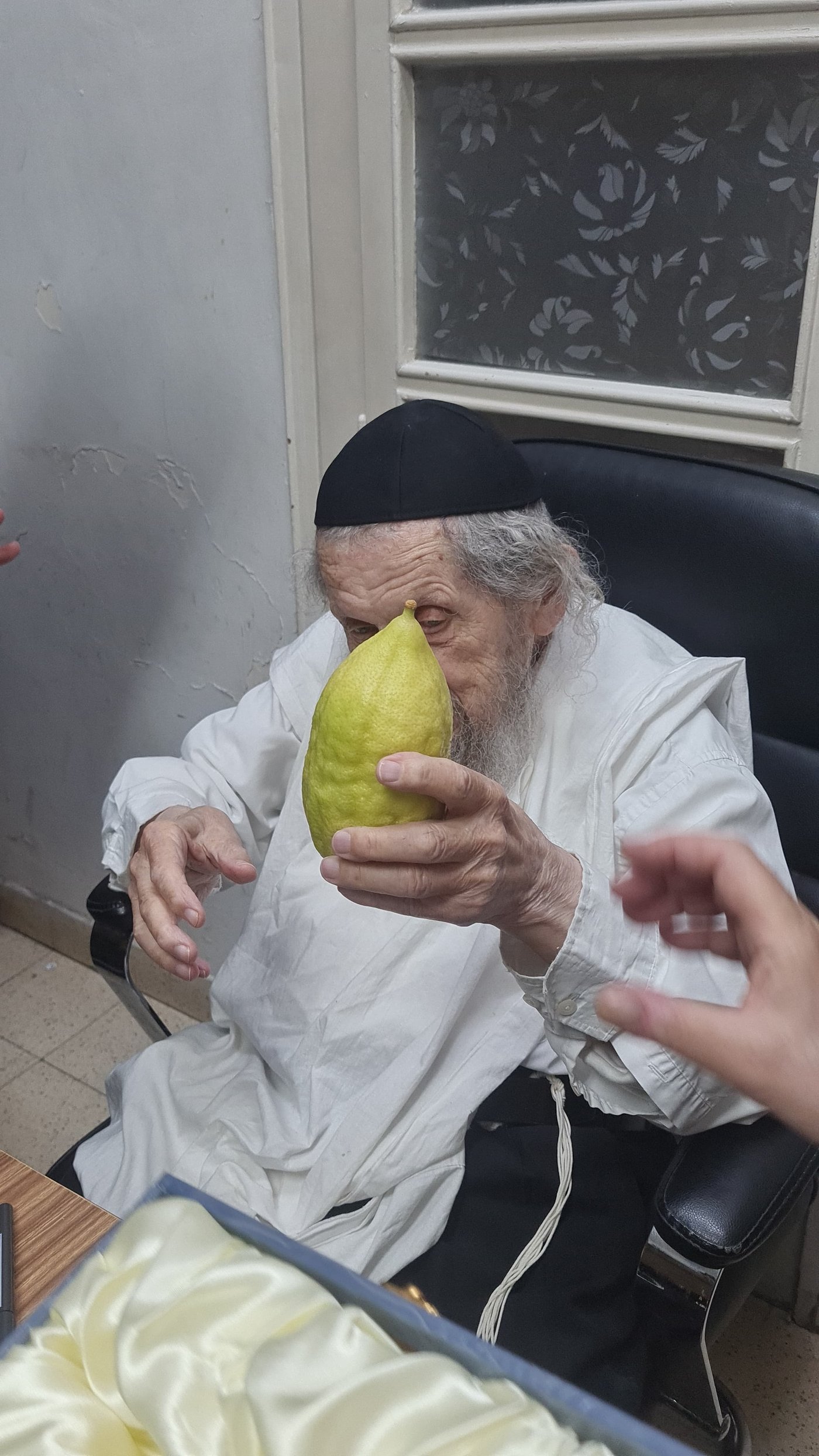 מרן ראש הישיבה הגאון רבי דב לנדו שליט"א בבדיקת אתרוגים