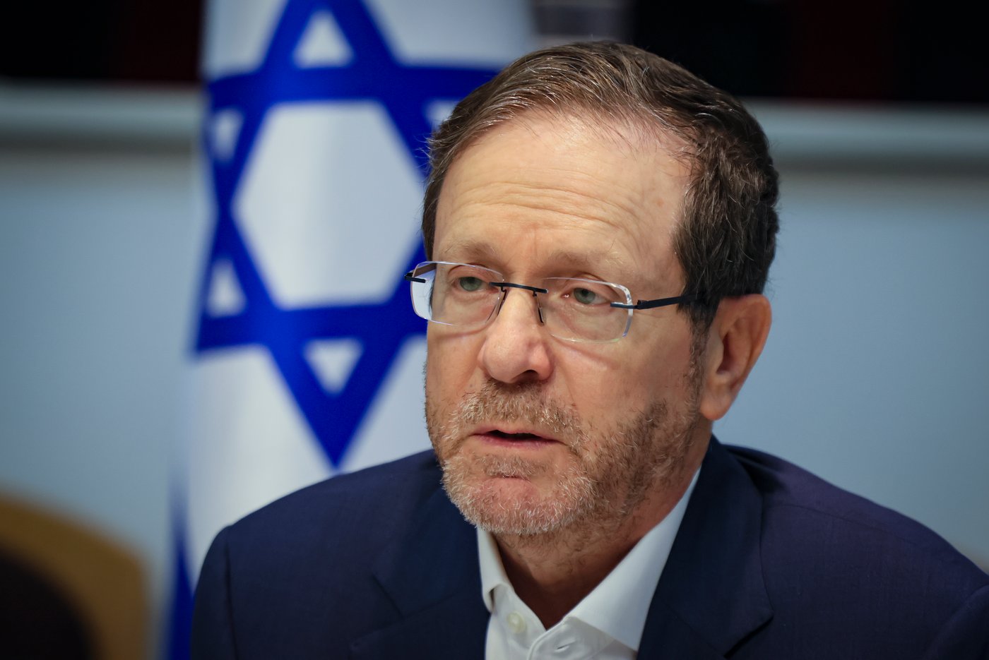 הנשיא יצחק הרצוג