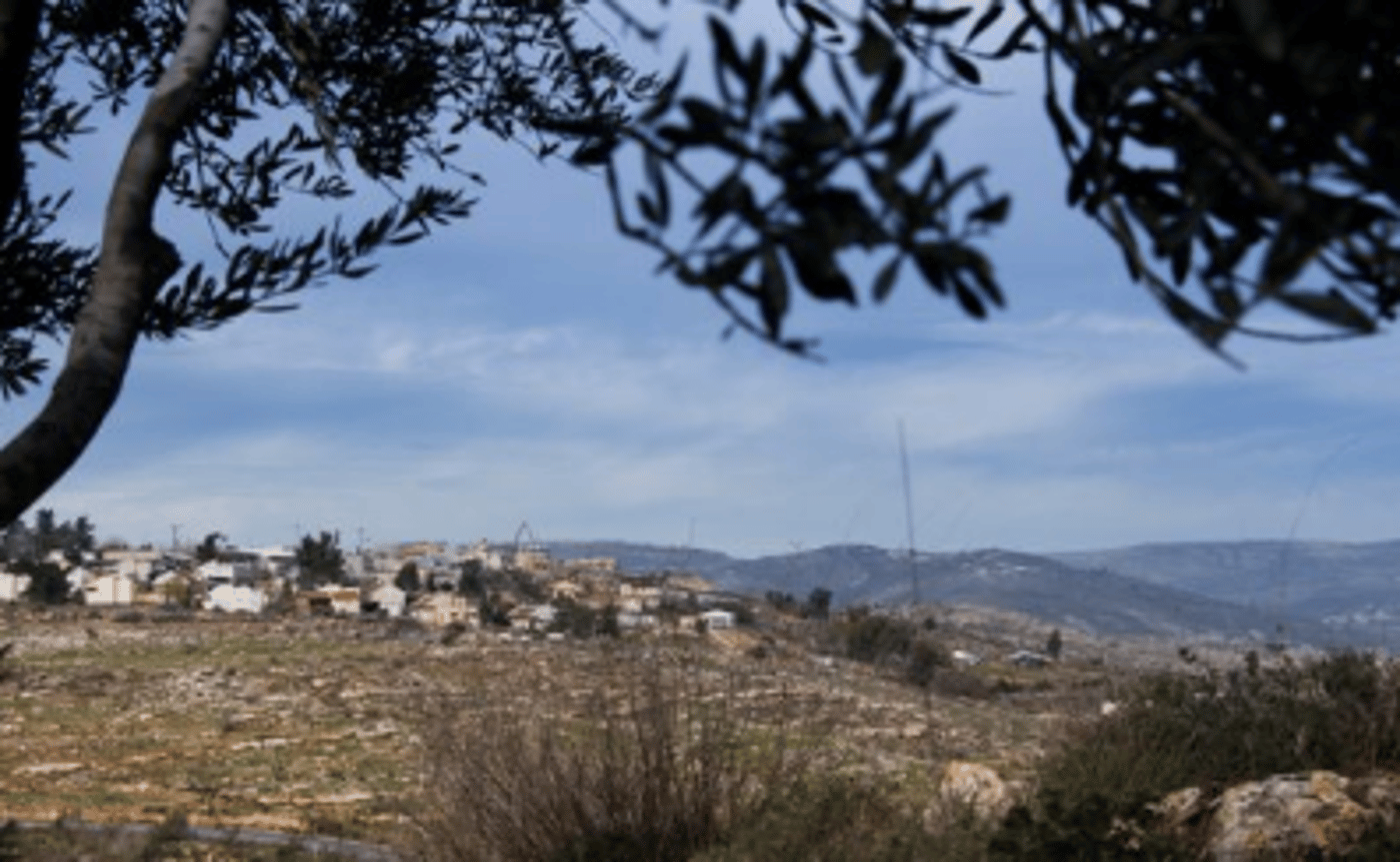 4 פעילים זרים עוכבו בשומרון • צפויים לגירוש