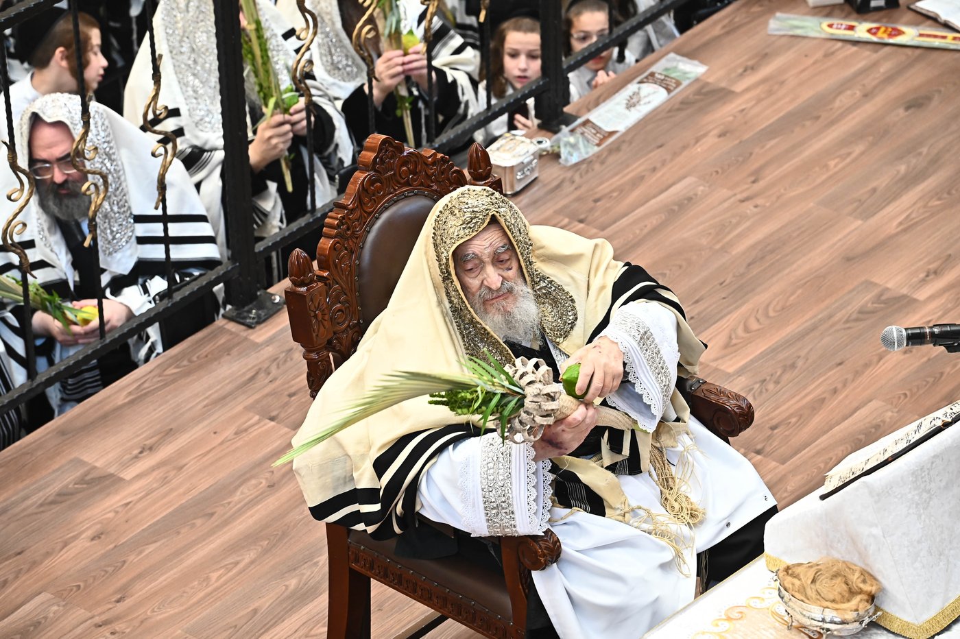 הושענא רבה בחצר הקודש ויז'ניץ | צילום: שוקי לרר