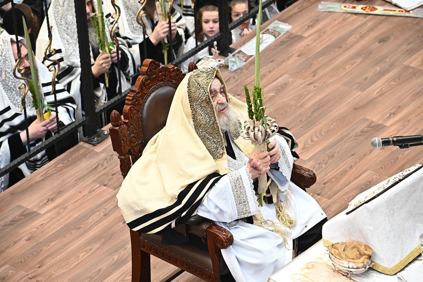 הושענא רבה בחצר הקודש ויז'ניץ | צילום: שוקי לרר