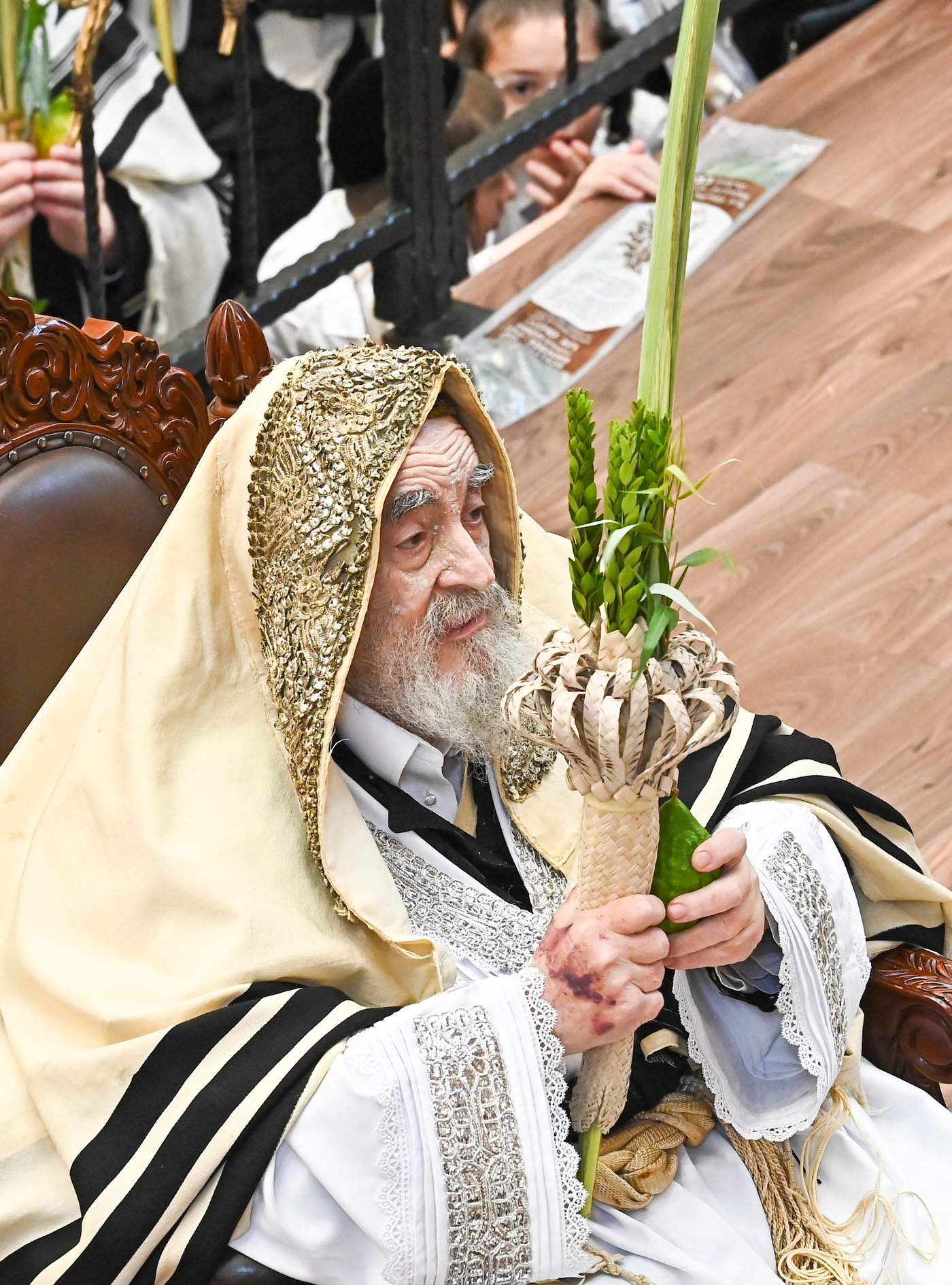 הושענא רבה בחצר הקודש ויז'ניץ | צילום: שוקי לרר