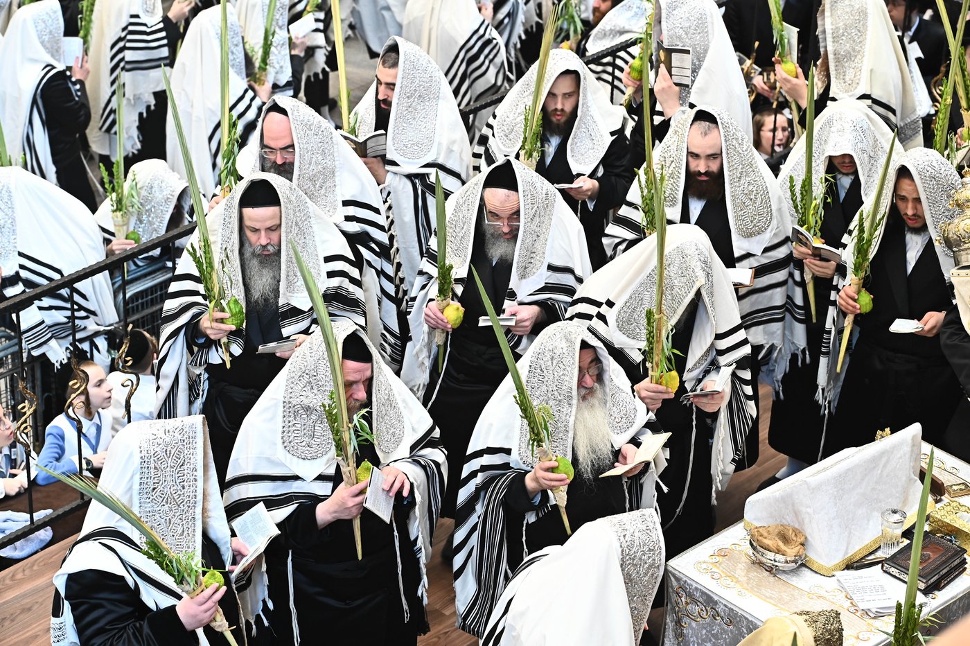 הושענא רבה בחצר הקודש ויז'ניץ | צילום: שוקי לרר