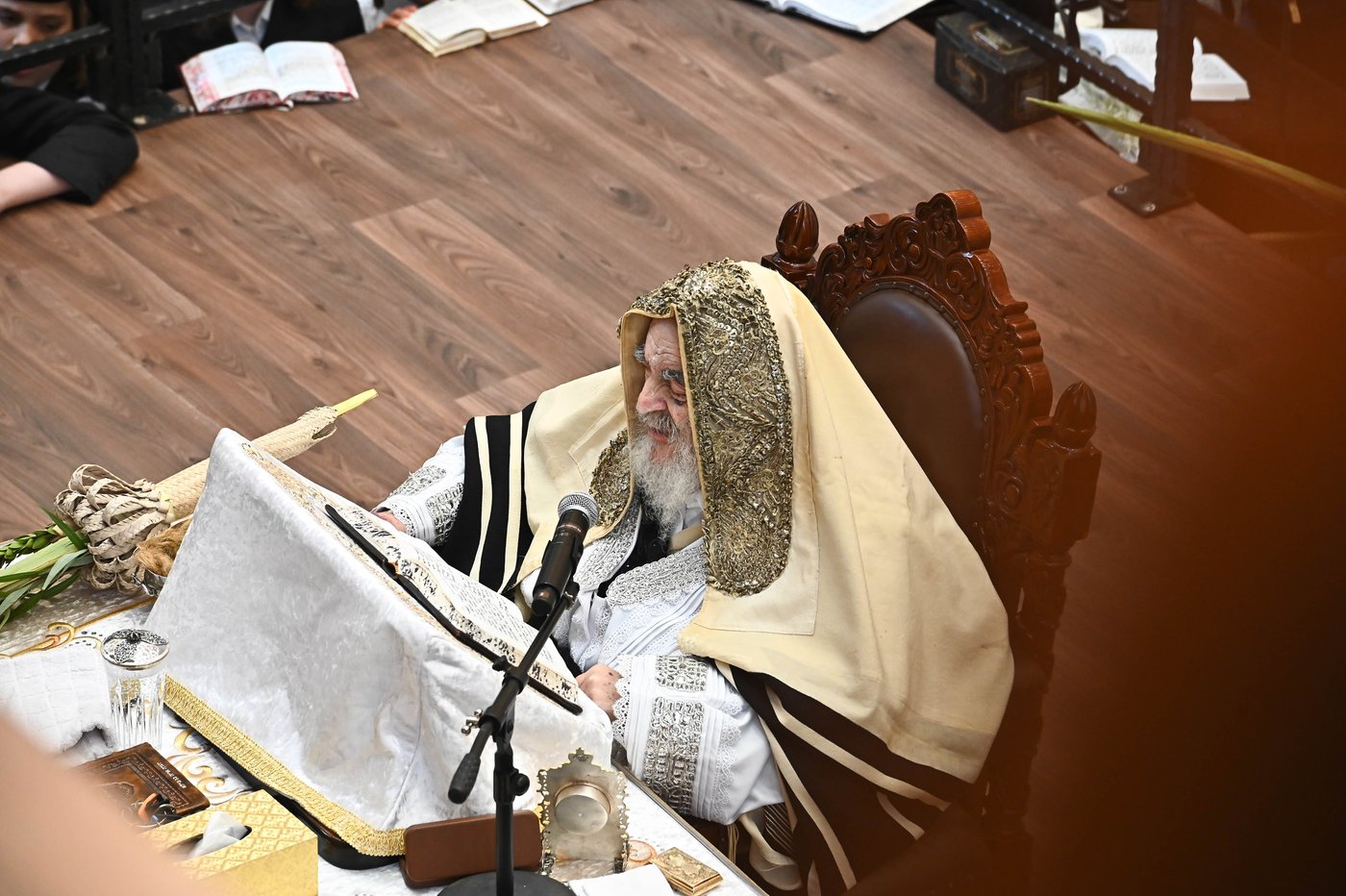 הושענא רבה בחצר הקודש ויז'ניץ | צילום: שוקי לרר
