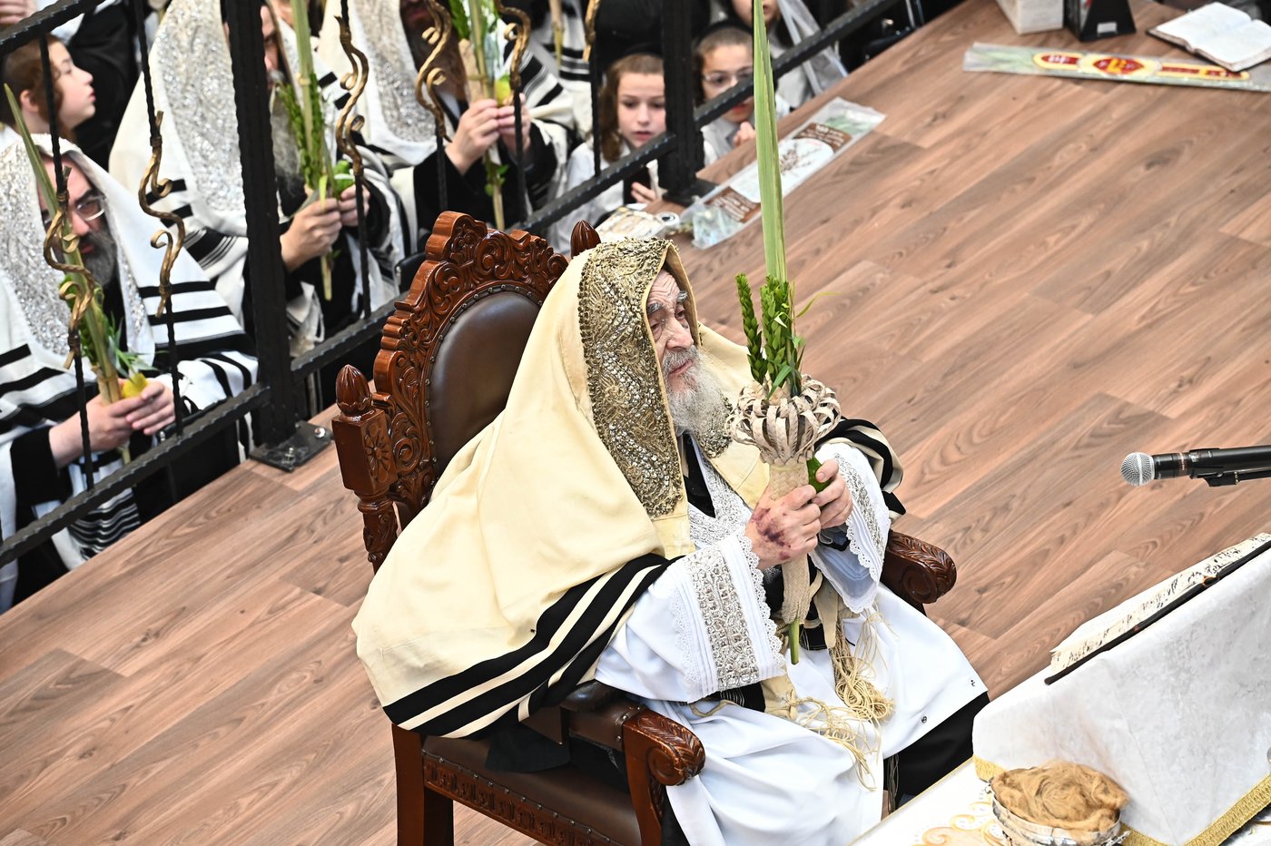 הושענא רבה בחצר הקודש ויז'ניץ | צילום: שוקי לרר
