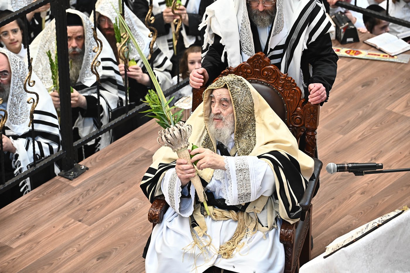 הושענא רבה בחצר הקודש ויז'ניץ | צילום: שוקי לרר