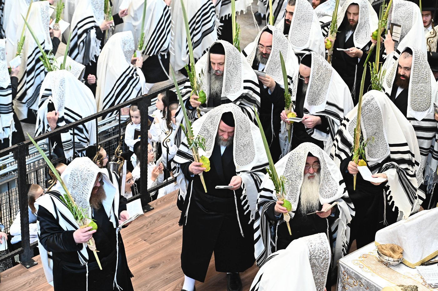 הושענא רבה בחצר הקודש ויז'ניץ | צילום: שוקי לרר