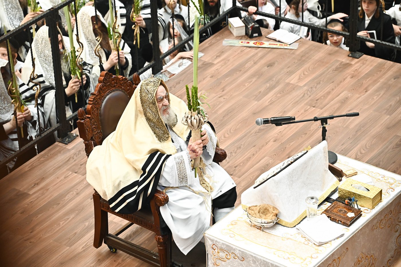 הושענא רבה בחצר הקודש ויז'ניץ | צילום: שוקי לרר