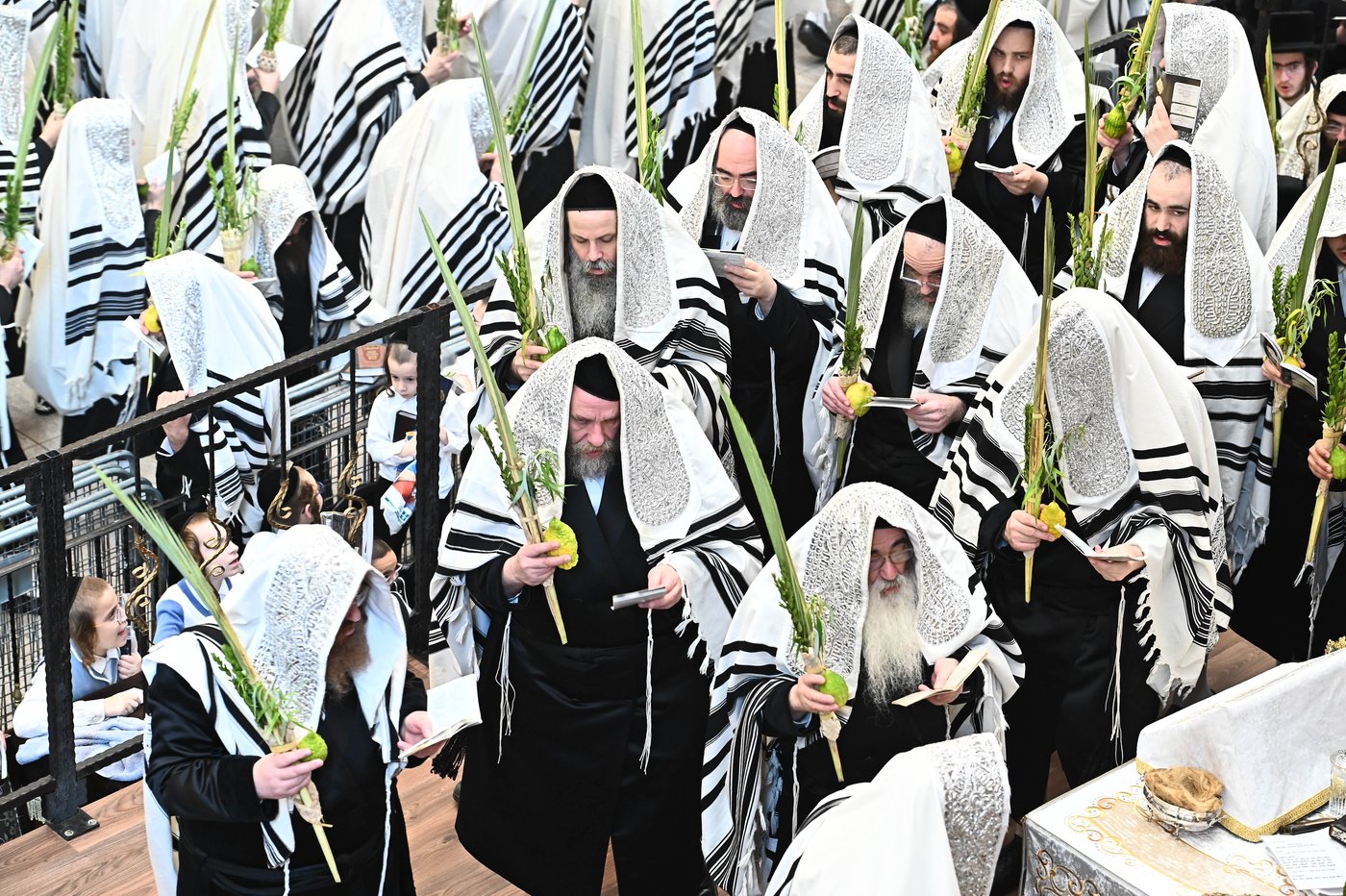 הושענא רבה בחצר הקודש ויז'ניץ | צילום: שוקי לרר