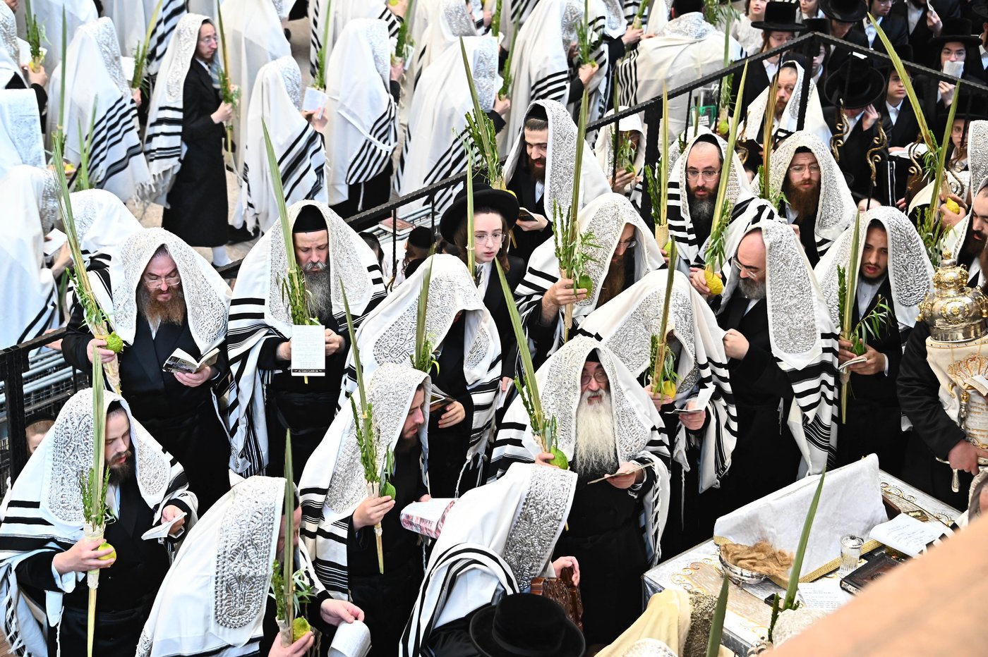 הושענא רבה בחצר הקודש ויז'ניץ | צילום: שוקי לרר