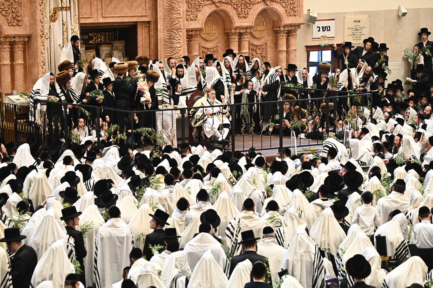 הושענא רבה בחצר הקודש ויז'ניץ | צילום: שוקי לרר