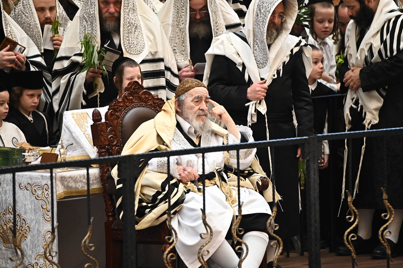 הושענא רבה בחצר הקודש ויז'ניץ | צילום: שוקי לרר