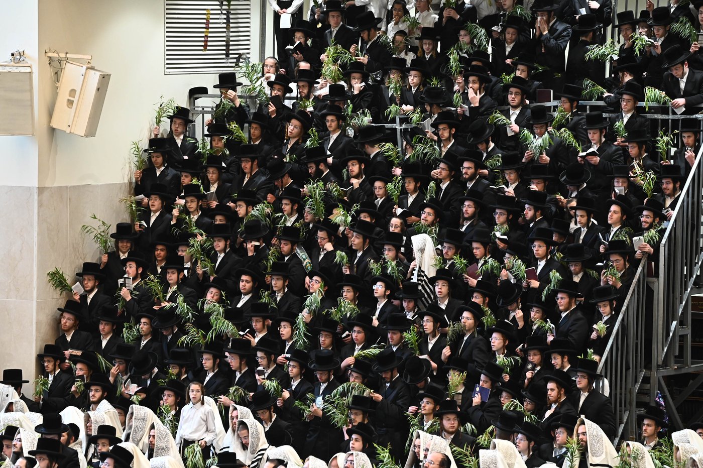 הושענא רבה בחצר הקודש ויז'ניץ | צילום: שוקי לרר