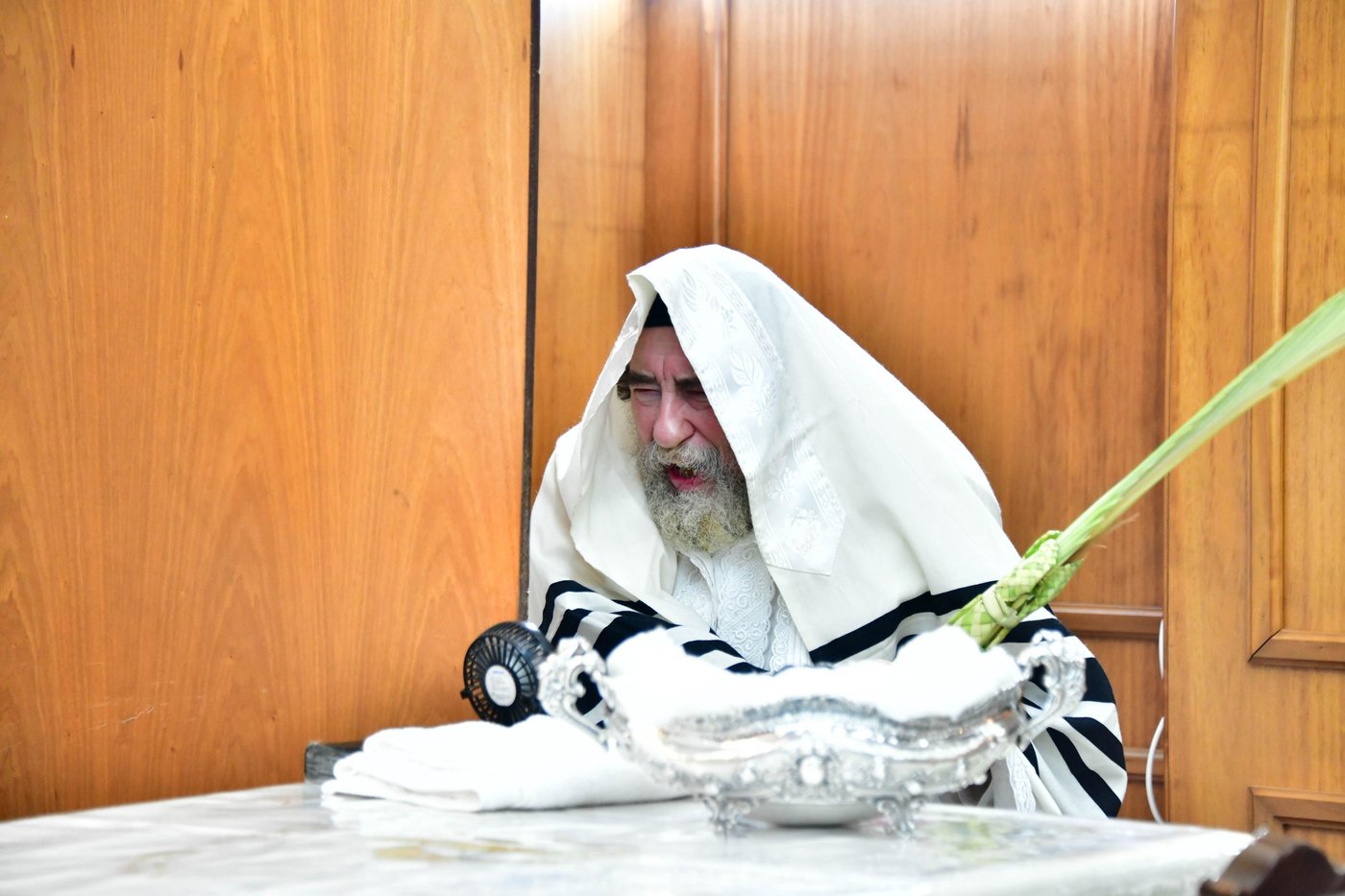 הושענא רבה בחצר הקודש רחמסטריווקא | צילום: שוקי לרר