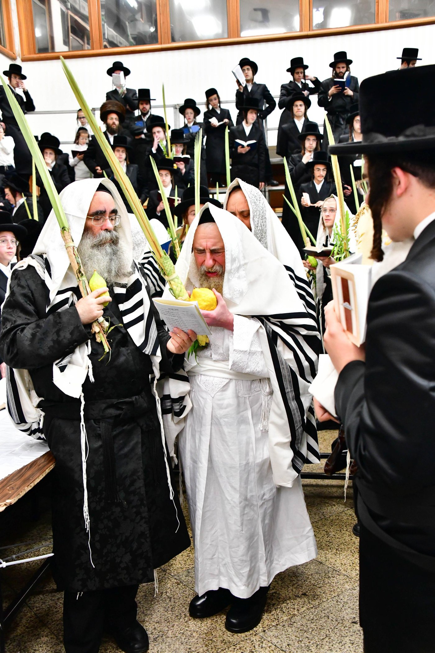 הושענא רבה בחצר הקודש רחמסטריווקא | צילום: שוקי לרר