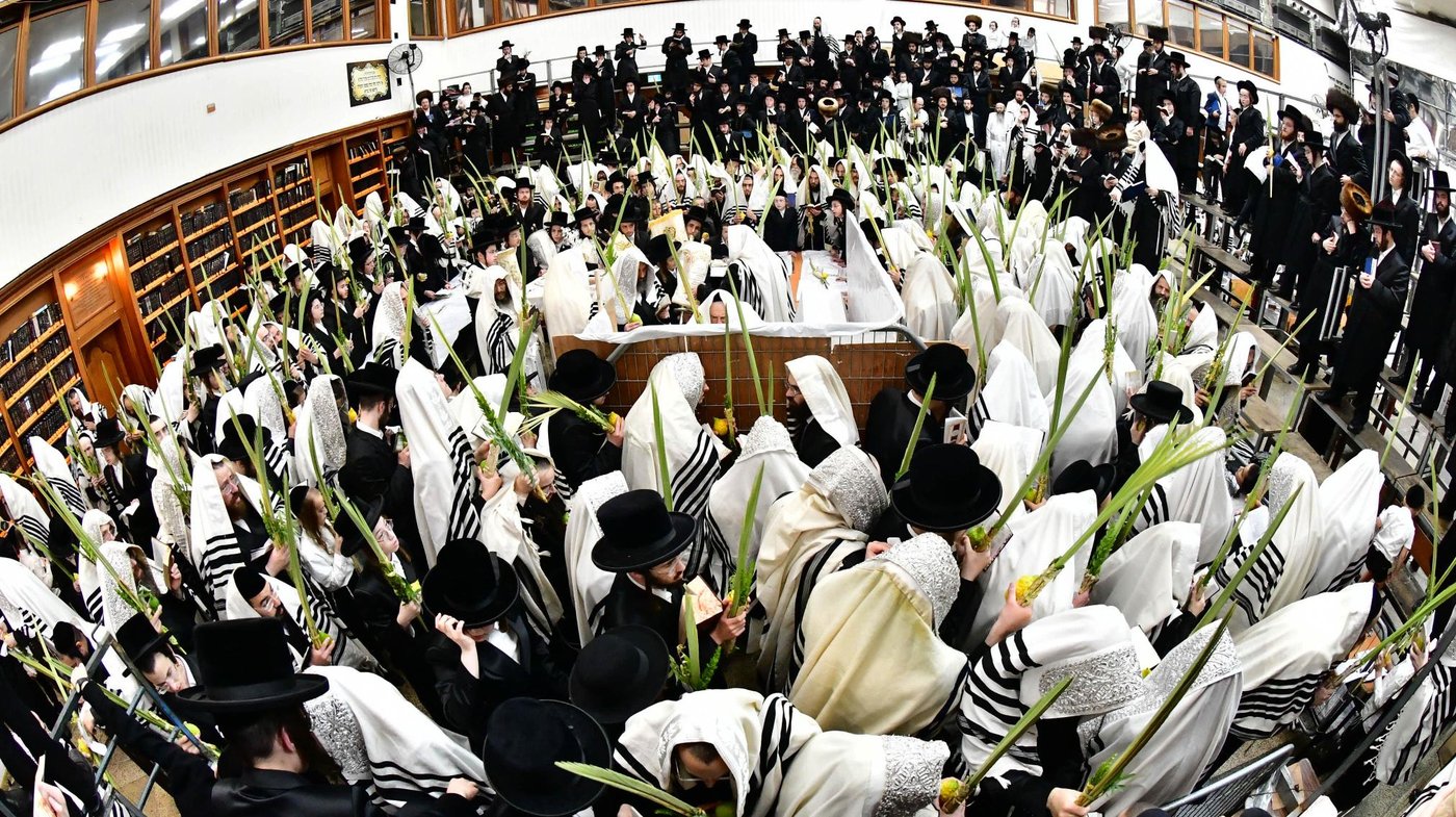הושענא רבה בחצר הקודש רחמסטריווקא | צילום: שוקי לרר