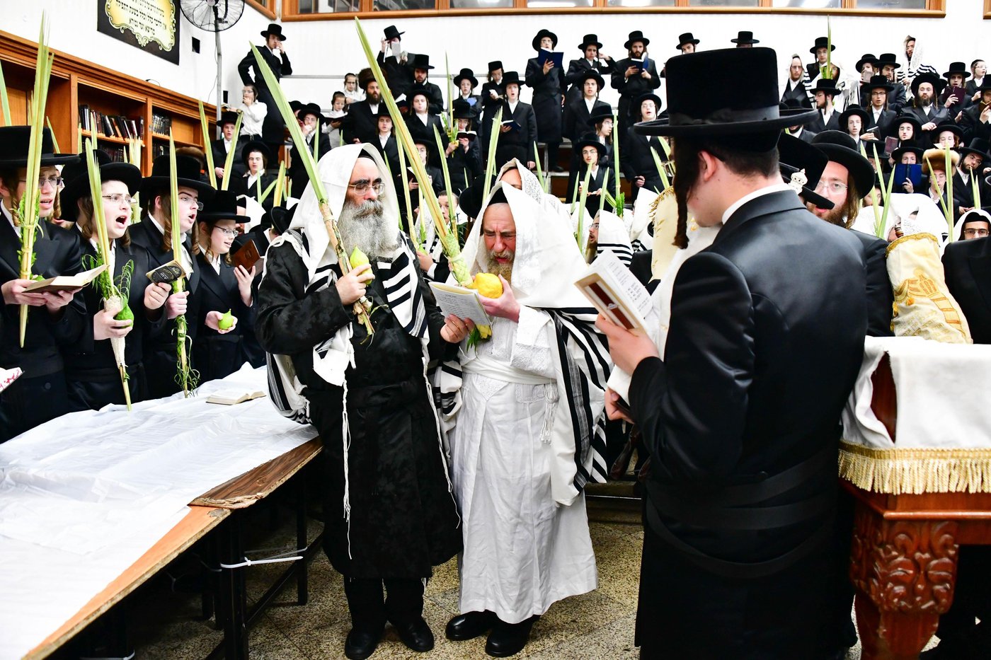 הושענא רבה בחצר הקודש רחמסטריווקא | צילום: שוקי לרר